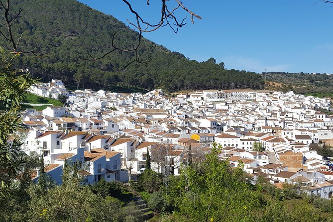 Wine & Tapas tour by electric bike (e-bike) including Ronda pickup (full day) - Tapas and Lunch: The Day’s Best Rhythm Breaks