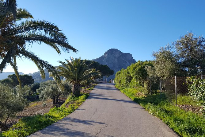 Wine & Tapas tour by electric bike (e-bike) including Ronda pickup (full day) - Price and Value: Is $162.19 Worth It?