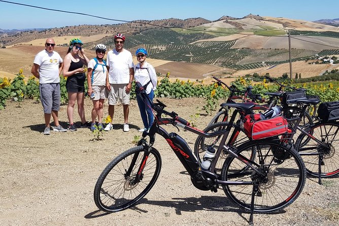 Wine & Tapas tour by electric bike (e-bike) including Ronda pickup (half day) - The 2:00 pm plan: pickup, bike setup, and getting comfortable fast