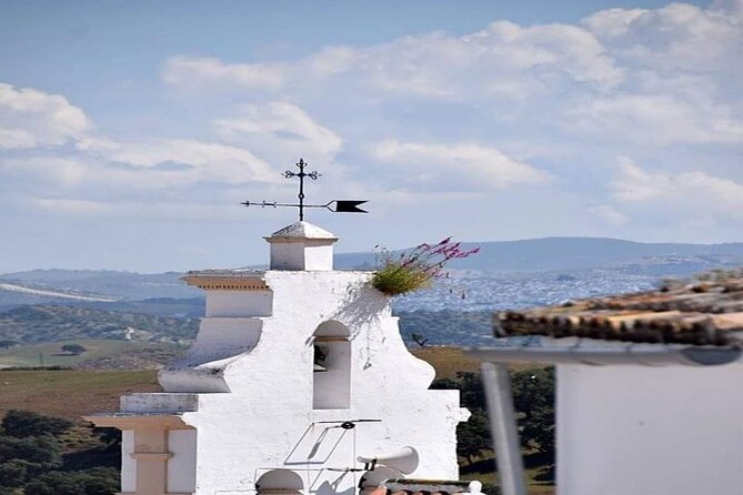 Wine & Tapas tour by electric bike (e-bike) including Ronda pickup (half day) - Who this tour is best for (and who should choose differently)