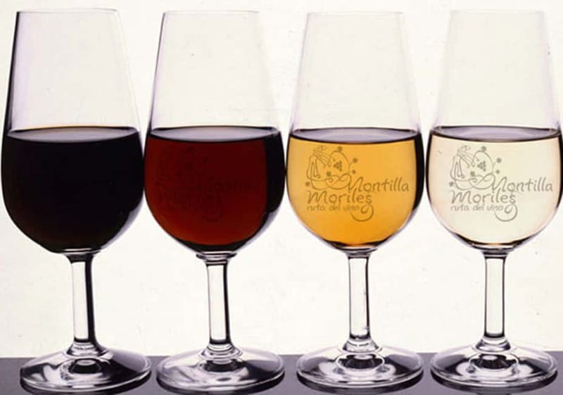 Wine Tasting and local tapas delight in Cordoba - Why Montilla-Moriles Feels Different in Córdoba