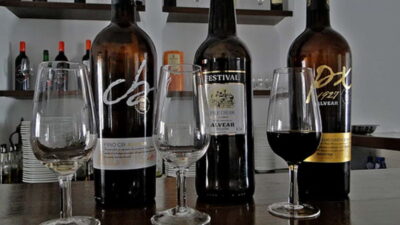 Wine Tasting and local tapas delight in Cordoba - Where You Start: Plaza del Triunfo or Puerta del Puente
