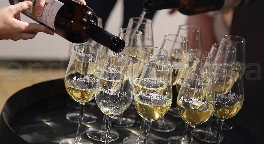 Wine Tasting and local tapas delight in Cordoba - Small Practical Notes That Matter