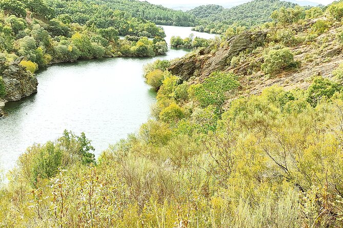 Wine Tasting & Tapas 4x4 Tours - Off-road riding: the fun part, but plan for real terrain