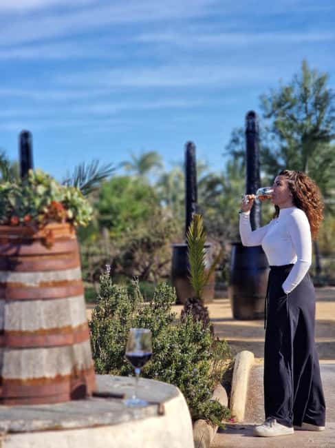 Winery Visit and Tasting in Elche with wines and tapas from Alicante in Van - Price and logistics: is $68 a good value?