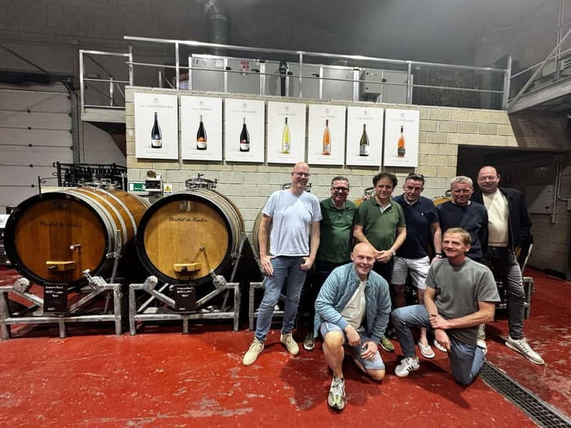 Winery Visit and Tasting in Elche with wines and tapas from Alicante in Van - Why this Elche winery stop fits so well in 3 hours