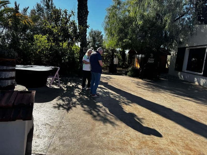 Winery Visit and Tasting in Elche with wines and tapas from Alicante in Van - The welcome break and the 45-minute transfer rhythm