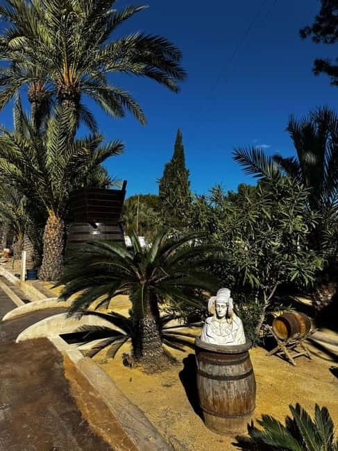 Winery Visit and Tasting in Elche with wines and tapas from Alicante in Van - Inside Faelo Winery: guided walk through how the wine gets made